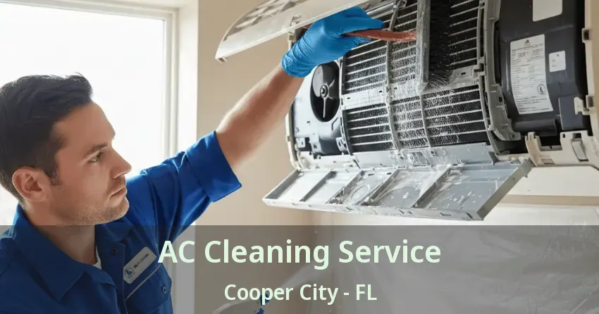 AC Cleaning Service Cooper City - FL