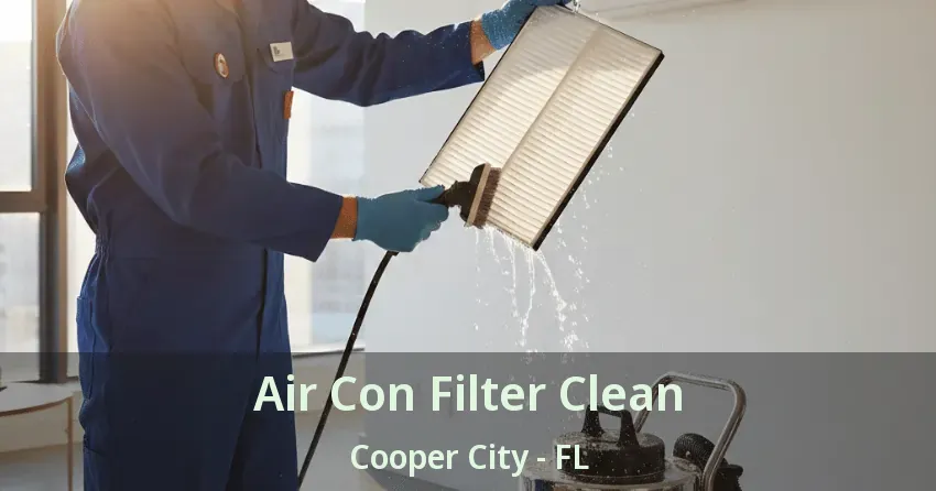 Air Con Filter Clean Cooper City - FL