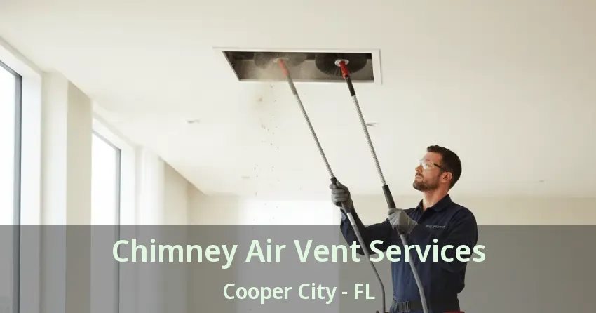 Chimney Air Vent Services Cooper City - FL