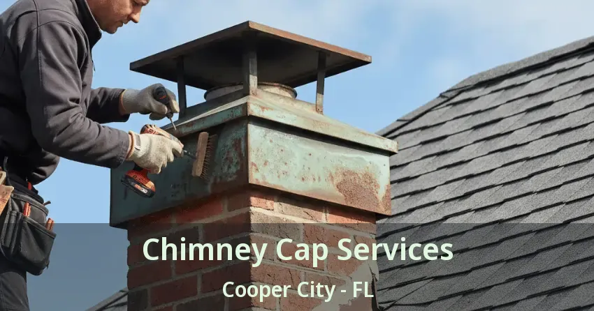 Chimney Cap Services Cooper City - FL