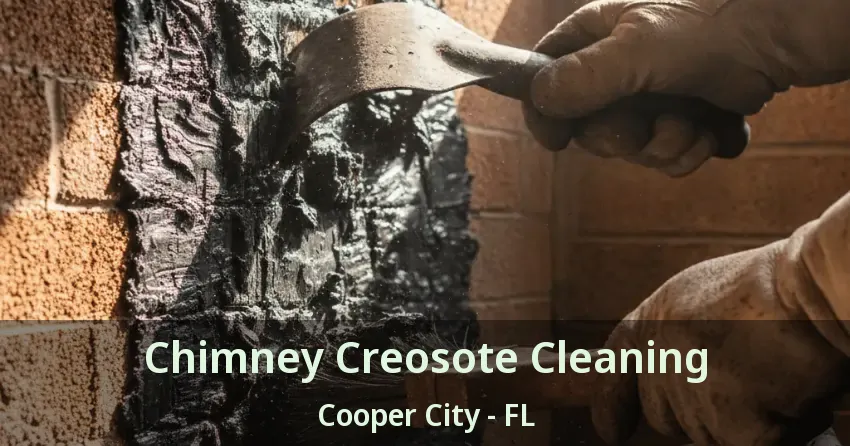 Chimney Creosote Cleaning Cooper City - FL