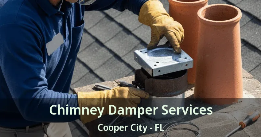 Chimney Damper Services Cooper City - FL