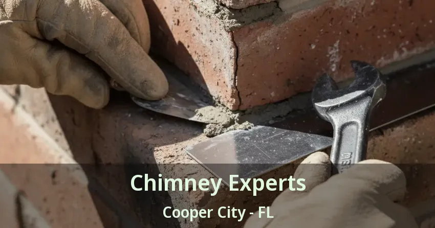 Chimney Experts Cooper City - FL