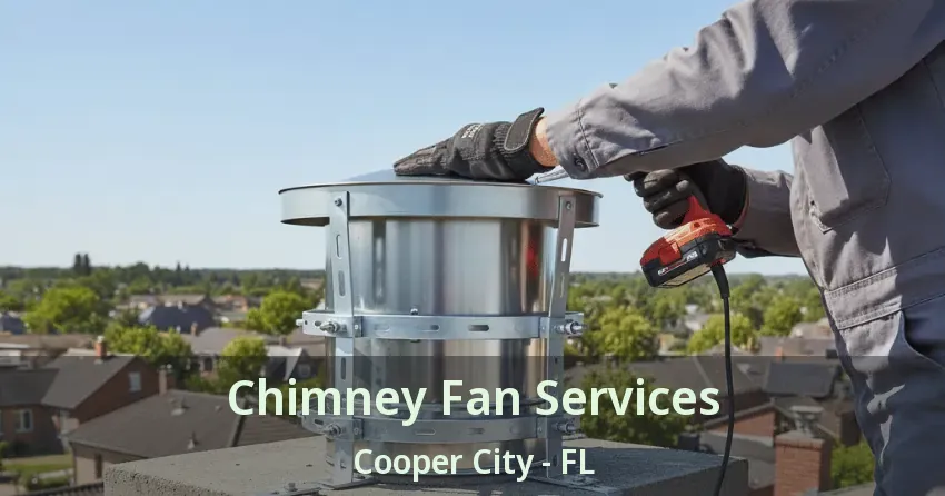 Chimney Fan Services Cooper City - FL