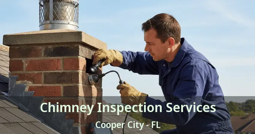 Chimney Inspection Services Cooper City - FL