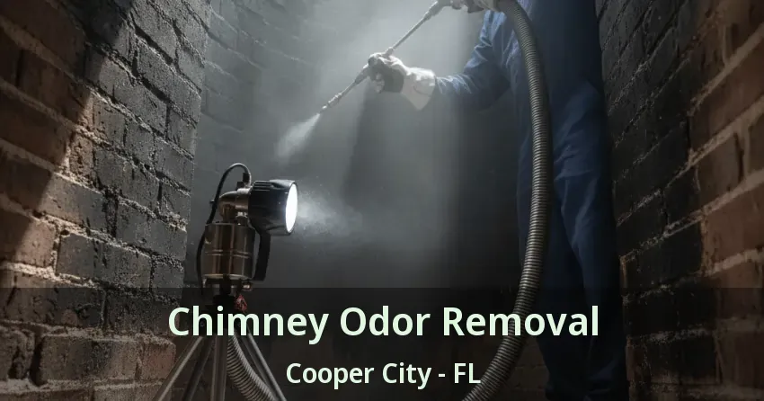 Chimney Odor Removal Cooper City - FL