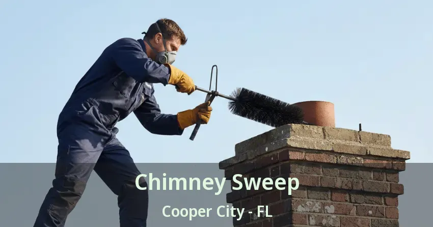 Chimney Sweep Cooper City - FL Chimney Sweep Cooper City - FL