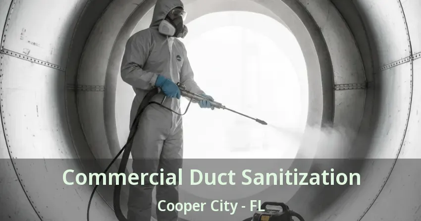 Commercial Duct Sanitization Cooper City - FL