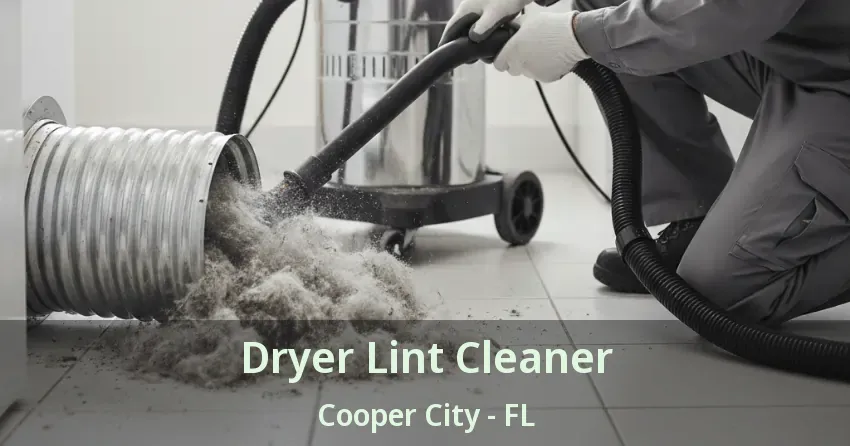Dryer Lint Cleaner Cooper City - FL