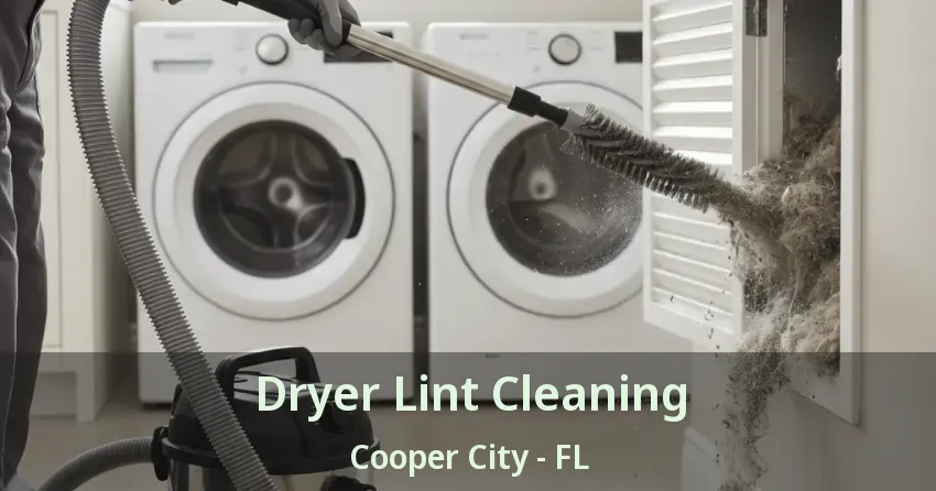 Dryer Lint Cleaning Cooper City - FL