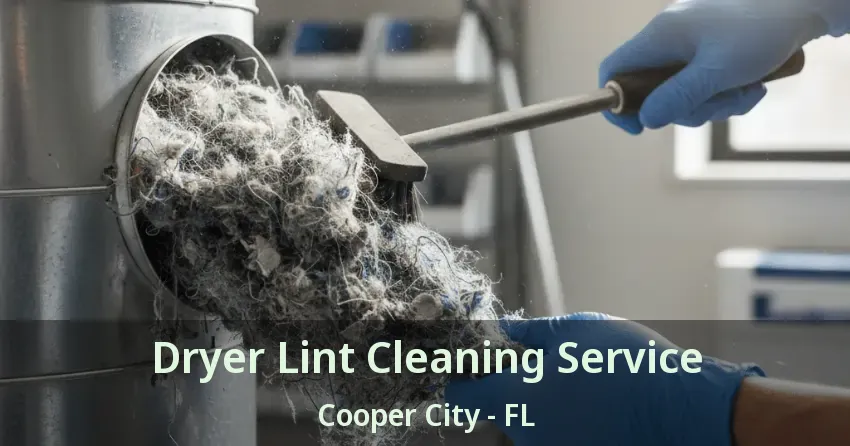 Dryer Lint Cleaning Service Cooper City - FL