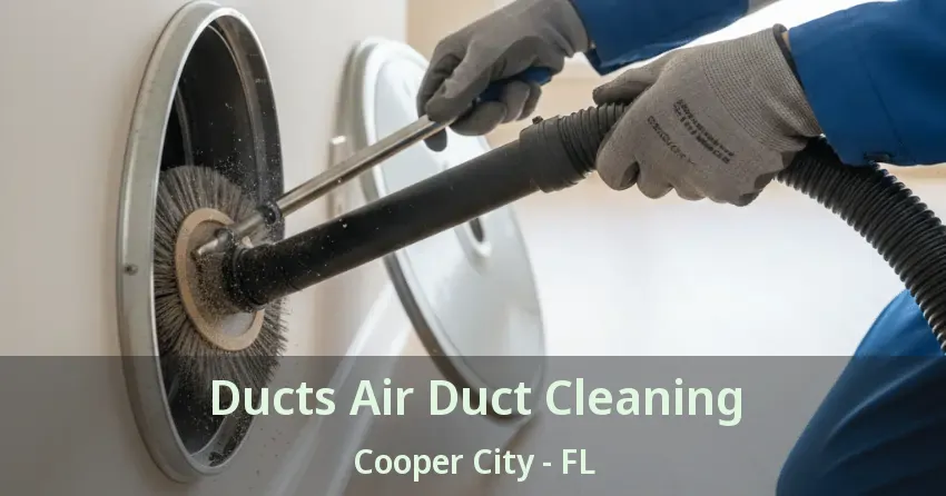 Ducts Air Duct Cleaning Cooper City - FL