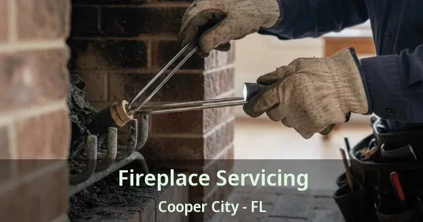 Fireplace Servicing Cooper City - FL