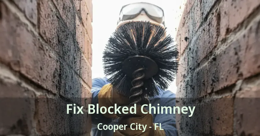 Fix Blocked Chimney Cooper City - FL
