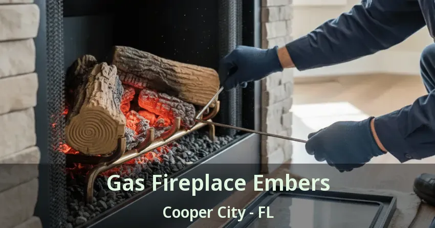 Gas Fireplace Embers Cooper City - FL