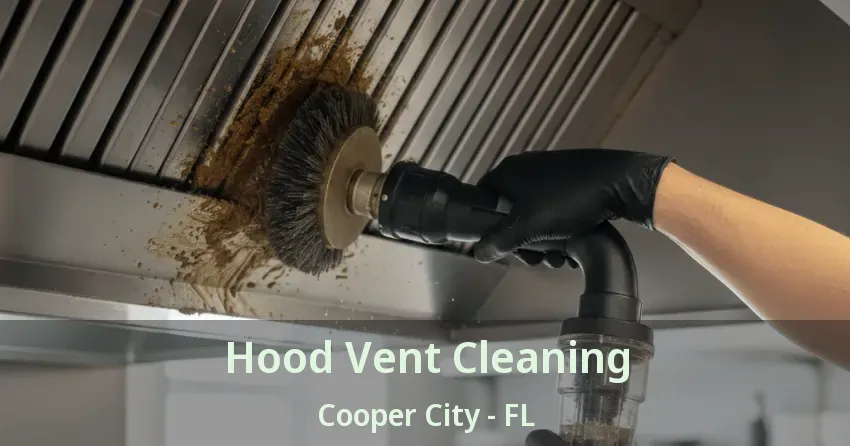 Hood Vent Cleaning Cooper City - FL