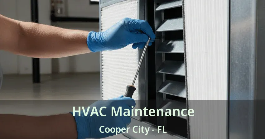 HVAC Maintenance Cooper City - FL
