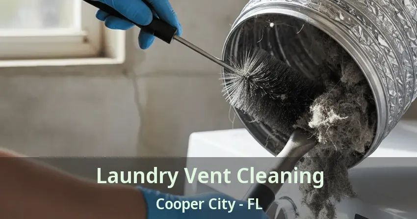 Laundry Vent Cleaning Cooper City - FL
