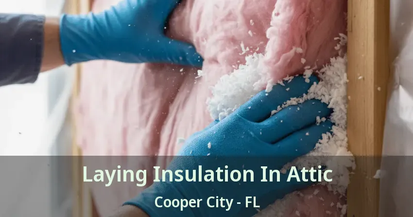 Laying Insulation In Attic Cooper City - FL