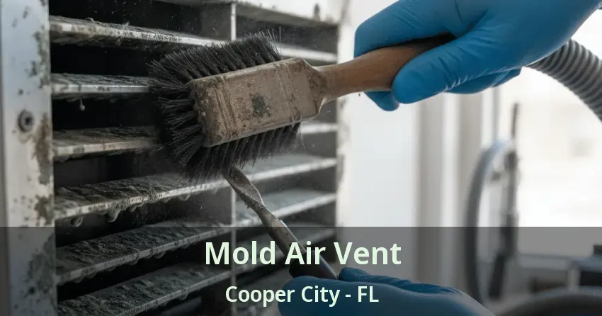 Mold Air Vent Cooper City - FL