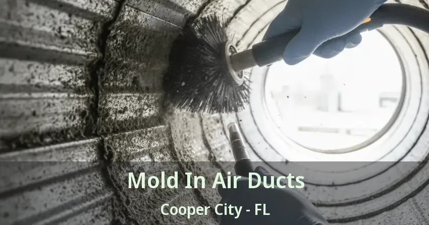 Mold In Air Ducts Cooper City - FL