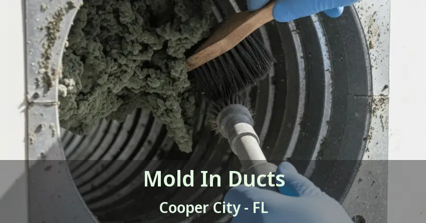 Mold In Ducts Cooper City - FL