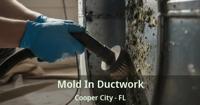 Mold In Ductwork Cooper City - FL
