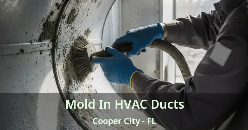 Mold In HVAC Ducts Cooper City - FL