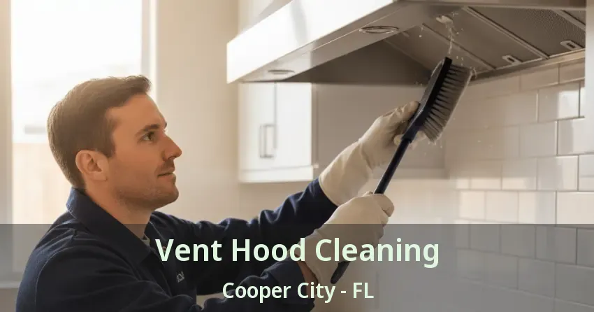 Vent Hood Cleaning Cooper City - FL